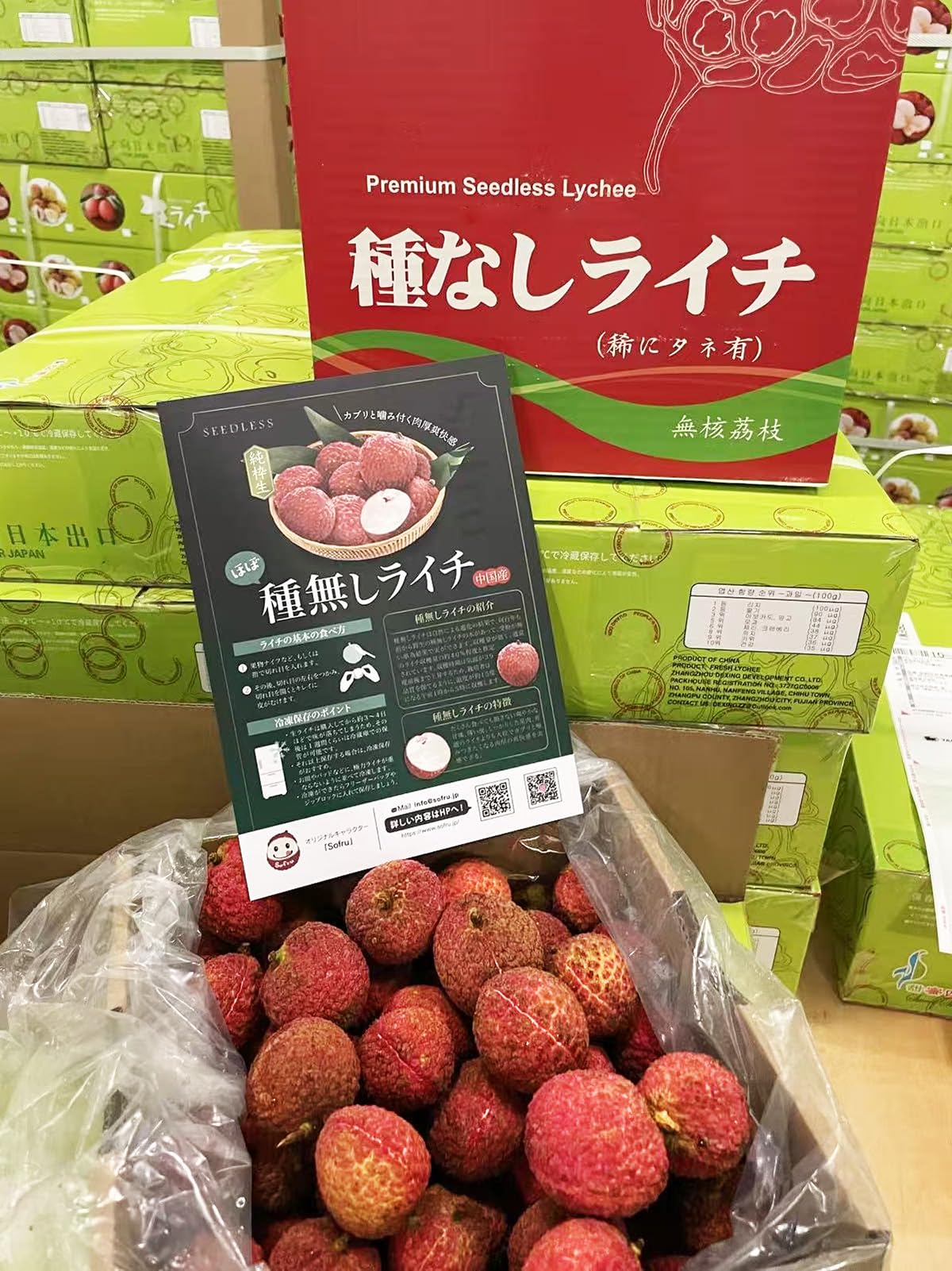 希少！ タネ無しライチ 接木苗 レイシ 種無し 楽天市場】☆希少レア☆国産ライチ苗木☆数量限定☆【佐多ライチ